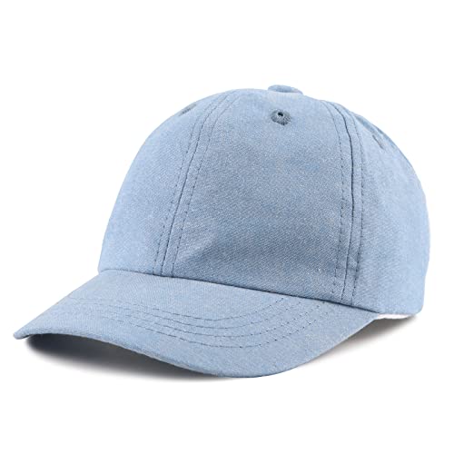 XIAOHAWANG Sommer Baseball Cap für Jungen Mädchen Verstellbar Sport Kappe Kinder Mit Dinosaurier-Stickerei Schirmmütze Kinder UV Schutz 2-6Jahren(Himmelblau-B,48cm) von XIAOHAWANG