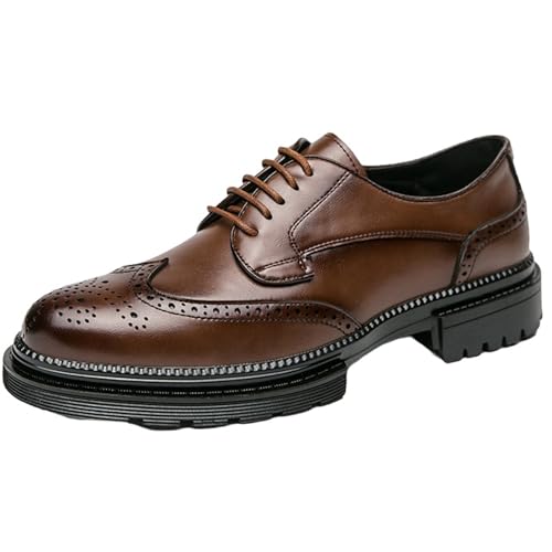 XINXINIO Herren Elegante Schnürschuhe Spitz Zehe Weite Größen - Brogue Design (Braun, 43 EU) von XINXINIO
