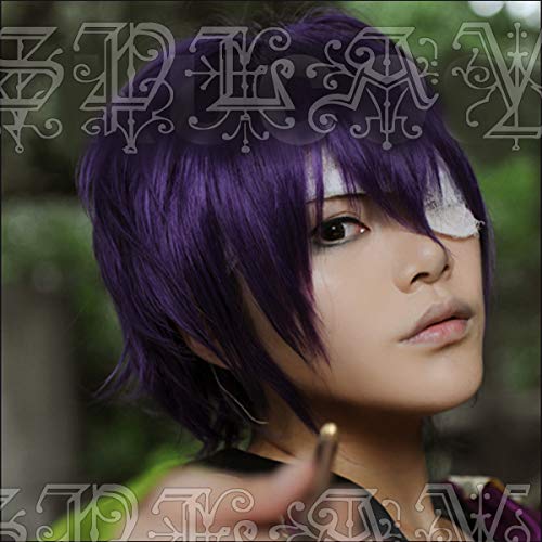 Anime Gintama Takasugi Shinsuke Cosplay Perücken Kurze Lila Hitzebeständige Synthetische Haarperücke (Nur Perücke) + Perückenkappe von XINYIYI