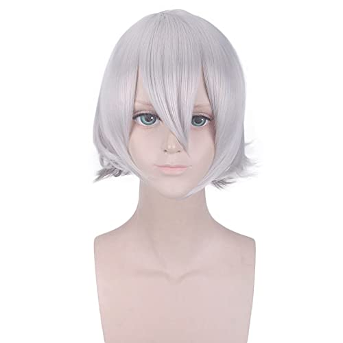 Anime Schicksal Großauftrag Lang Lin Wang Silbergrau Kurze Perücke Cosplay Kostüm Hitzebeständiges Kunsthaar Männer Cosplay Perücken Anime Schicksal Großauftrag Lang Lin Wang Silbergrau Kurze Perücke Cosplay Kostüm Hitzebeständiges Kunsthaar Männer Cosplay Perücken von XINYIYI