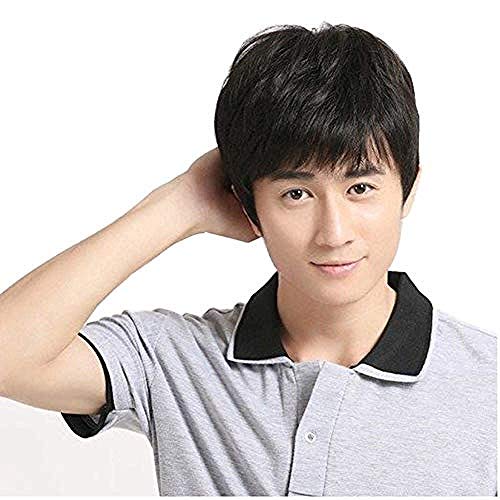 BGHJUE Wig Mens Brown Wig Male Guy Short Layered Cosplay Costume Party Natural Hair Wigs Black Really black von XINYIYI