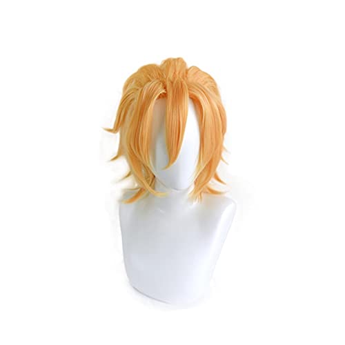 Jojos Bizarres Abenteuer Golden Wind Pannacotta Fugo Perücke Cosplay Kostüm Hitzebeständiges Kunsthaar Männer Halloween Party Perücken von XINYIYI