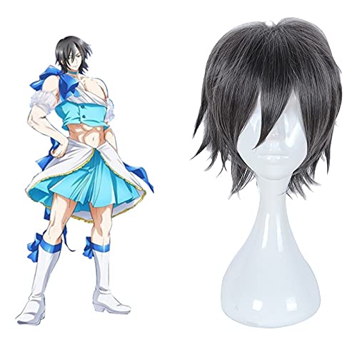 Magische Mädchen Erz Cosplay Perücken Sakigasuki Men Ver. Cosplay Hitzebeständige Synthetische Perücken Halloween Carnival Party Cosplay Perücken von XINYIYI