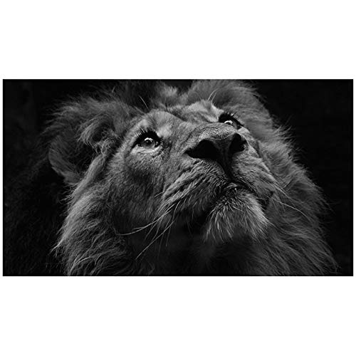 Spiel Touken Ranbu Online Cosplay Perücke Izuminokamikanesada Cosplay Perücke Hitzebeständige Synthetische Perücke Halloween Carnival Party Perücke von XINYIYI