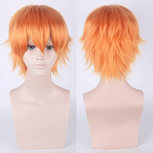 anime wigs cosplay christmas 30CM universal cos wig, anti-curling face, short hair, multi-color optional hairy style color:002-44 von XINYIYI