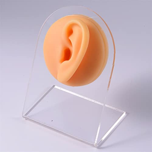 XIOFYA 1 stück brandneues silikon Ohr Modell Praxis Piercing Tools verwendet for kopfhörerzubehör Display kostenlos erfahren (Farbe : Left Ear) von XIOFYA