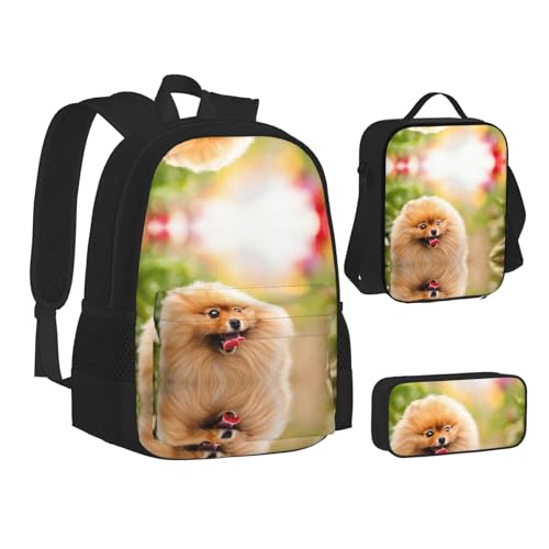 XIPEGKLD Schulranzen + Federmäppchen + Lunchtasche mit Pomeranian Print, geeignet für Männer und Frauen von XIPEGKLD