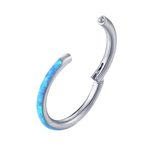 XITEA Edelstahl Nasenringe Hoop Knorpel Hoop Septum Piercing Clip für Frauen Stilvolle Nasenclip Zubehör Nase Verzierung, Edelstahl von XITEA
