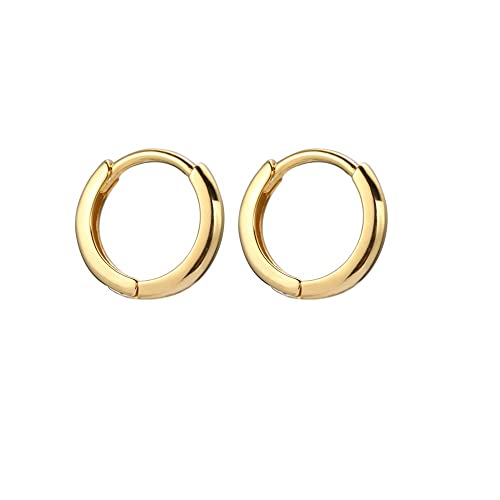 20g Tiny Small Hoop Knorpel minimalistische Ohrringe für Frauen sensible Ohren 14K Schläfer Tragus Huggie Hoops Hypoallergene obere Ohr -Piercing -Geschenke von XJEIVJIC
