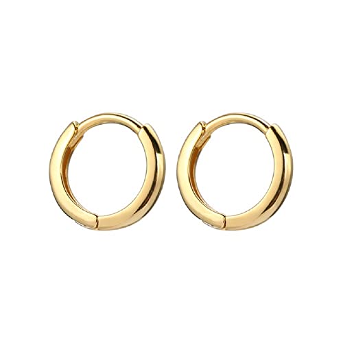 20g Tiny Small Hoop Knorpel minimalistische Ohrringe für Frauen sensible Ohren 14K Schläfer Tragus Huggie Hoops Hypoallergene obere Ohr -Piercing -Geschenke von XJEIVJIC