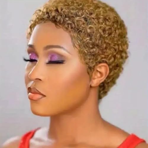 6 Zoll kurze Bob Perücke lockigem Pixie Schnitt, für schwarze Frauen Pixie Schnitt verworrene Locken, hitzebeständige synthetische Perücke, tägliche Party Cosplay Verwendung.(Gold) von XJKDTJBE
