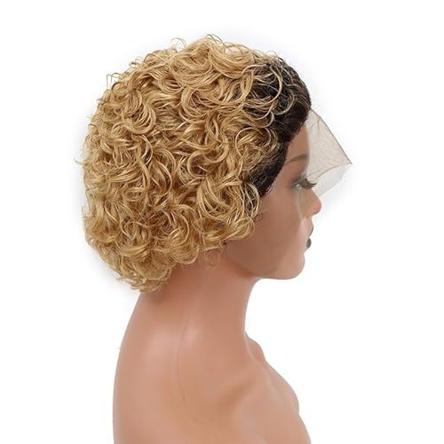 Kurze lockige Pixie-Afro-Perücken 6 Zoll kurze Pixie-Perücke, 13 x 1 HD-Spitzenfront, kurze Pixie-Perücke for schwarze Frauen tägliche Verwendung auf Partys Cosplay.(Gradient gold) von XJKDTJBE