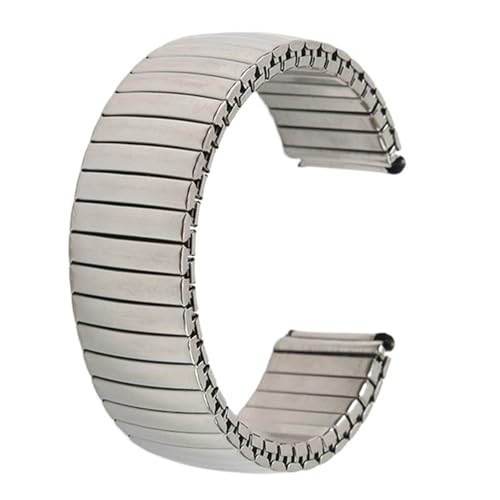 XLXKGPGKMK Bequemes silbernes Armband der Quick Release-Serie for Herren und Damen – gerades Ende, 18 mm, 20 mm, 22 mm(18mm) von XLXKGPGKMK
