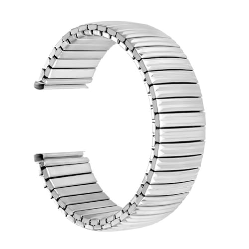 XLXKGPGKMK Elastisches Edelstahlband for schnelle Demontage. Geeignet for Männer und Frauen.(Silver,12mm) von XLXKGPGKMK