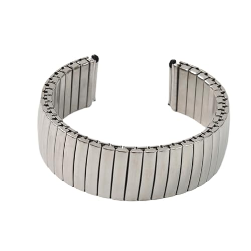 XLXKGPGKMK Elastisches Uhrenarmband aus Edelstahl, schnell abnehmbar und austauschbar, for Damen und Herren(22mm) von XLXKGPGKMK