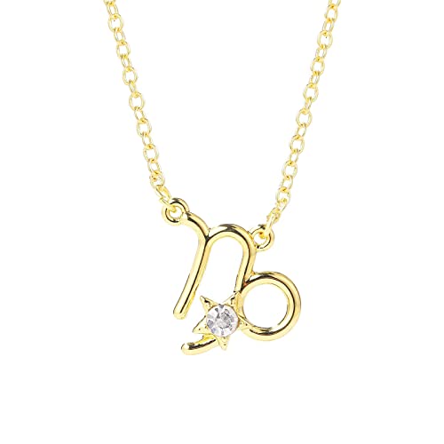 Zodiac Halskette Female 12 Constellation Jewelry Diamond Brown Card Strass Clavicle Chain Lederhalskette Herren Ohne Anhänger (J, One Size) von XNBZW