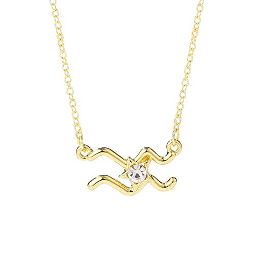Zodiac Halskette Female 12 Constellation Jewelry Diamond Brown Card Strass Clavicle Chain Lederhalskette Herren Ohne Anhänger (K, One Size) von XNBZW