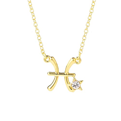 Zodiac Halskette Female 12 Constellation Jewelry Diamond Brown Card Strass Clavicle Chain Lederhalskette Herren Ohne Anhänger (L, One Size) von XNBZW