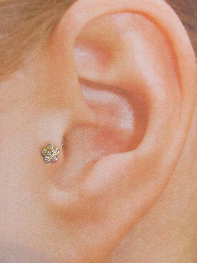 14K Massive Gold Tragus Piercing Bezel Set Blumen Barbell Ring.. 16G.. 6mm von XSBodyJewelry