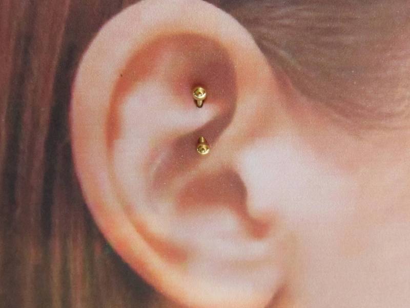 Goldene Krähe Piercing Curved Barbell Ring..16G..6 Mm Oder 8 Mm(E02G Goldene Krähe Piercing Curved Barbell Ring..16G..6 Mm Oder 8 Mm(E02G von XSBodyJewelry