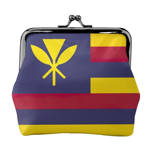 Geldbörse für Damen, Motiv: Flagge des Königreichs Hawaii, kleine Beutel mit Kussschloss, für Münzen, Karten, kleine Gegenstände von XTYGETY