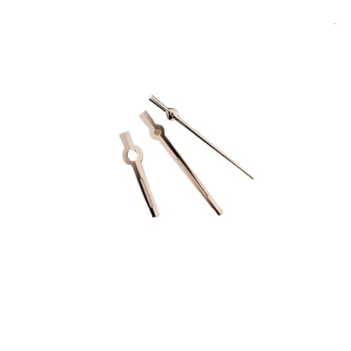 XUKKJI 31 mm Uhrengehäuse-Set für Damen, 24,5 mm Zifferblatt, 17 mm Armband und Zeiger für NH05 für NH06-Uhrwerk, mechanische Uhren-Modifikationszubehör, Rosenzeiger, One Size von XUKKJI