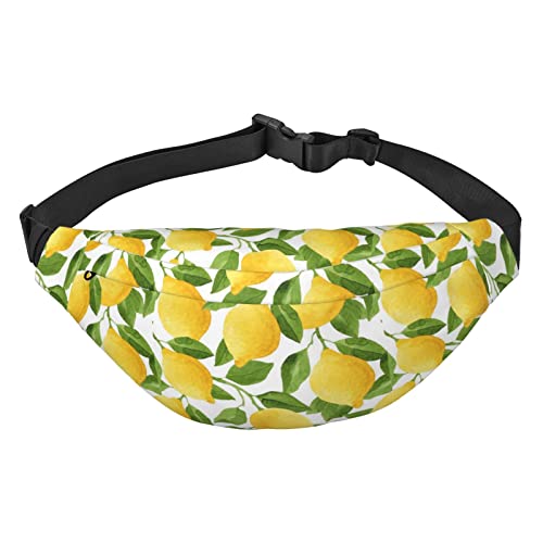 Lemon Taille Packs Verstellbare Casual Taille Tasche Pack Wandern Gürtel Taille Packs, Siehe Abbildung, Einheitsgröße, Lässiger Tagesrucksack von XVBCDFG