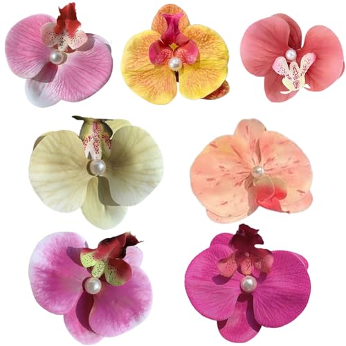Schmetterling Orchideen Haarclip, 7pcs süße hawaiianische Blumenhaarklammern, tropische Blumenklammern für Frauen Mädchen Hochzeits Sommerstrandparty Schmetterling Orchideen Haarclip, 7pcs süße hawaiianische Blumenhaarklammern, tropische Blumenklammern für Frauen Mädchen Hochzeits Sommerstrandparty von XVHOAB