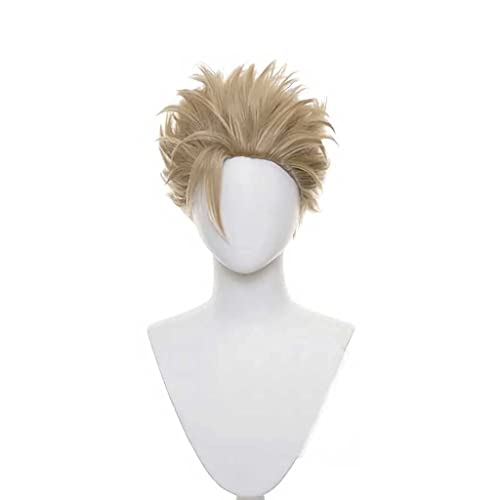 Hawks/Takami Keigo Cosplay Perücke, kurze braune Perücke, mit kostenloser Perücke Cap, für Weihnachten Karneval Party Halloween Cosplay Perücke von XXSLY