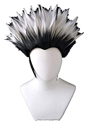 WELLHY Cosplay Perücke Haikyuu!!Bokuto Koutarou Männer Kurzes Hochtemperaturfaserhaar Cosplay Perücke for Coser von Xamic
