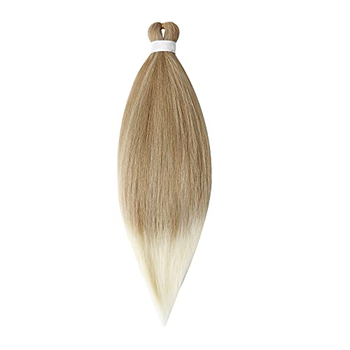 Perücke Damen Festival Zubehör Braid Extension Wigs Black Hair African Color Highlight Gradient Wig Dirty wig Perücke Blond Urlaub Must Haves (M, One Size) von Xbemkste