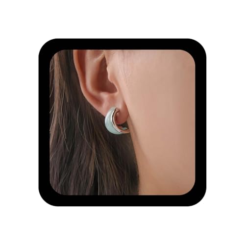 Xduargs Boho Blau Harz Reifen Ohrringe Blau Split Dicken Reifen Ohrring Vintage Acryl C Form Ohrringe Hohlen Doppelkreis Huggie Ohrring Schmuck Für Frauen von Xduargs