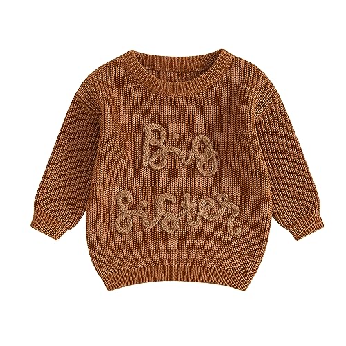 Baby Mädchen Herbst Winter Strickpullover Gestrickter Lil/Big Sister Pullover Schwester Matching Pullover Outfits Langarm Rundhals Buchstaben Strickpullover Baby Strickware (Braun-B, 2-3 Years) von Xeadoffubio