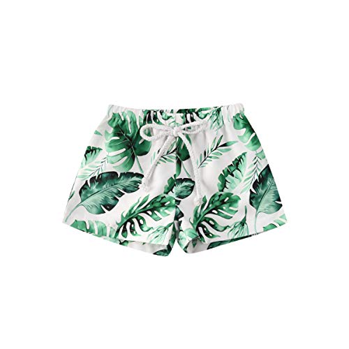 Xeadoffubio Baby Jungen Strandhosen Elastische Sommer Meer Tierdruck Kordelzug Strand Badehose Fürs Kleinkind Schnell Trocknend Strandhose Tunnelzug Shorts Schwimmhose 1-5 Jahre (Grün-E, 6-12 Months) von Xeadoffubio