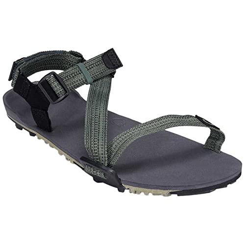 Xero Shoes Herren Z-Trail EV Sandalen – Leichte Wandersandalen für Herren – Barfußgefühl, Breite Zehenbox, minimalistische Trail-Sportsandalen für Herren – Vetivergrün, Größe 45 EU von Xero Shoes