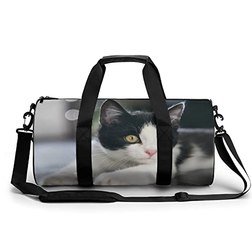 Xingruyun Sporttasche Kinder Süße Katze Badetasche Gym Tasche Schwimmtasche Schultertaschen Reisetasche Urlaubstasche Fitnesstasche Für Mädchen Jungen 45x23x23cm von Xingruyun