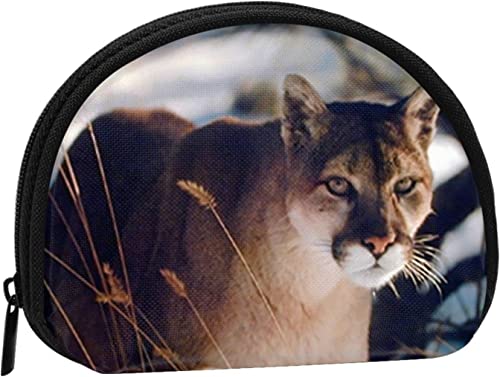 Wild Cougar In Snow Mountain, Geldbörse, Muschel-Make-up-Tasche, Damen-Aufbewahrungstasche, kleine Geldbörse, Muschel-Wechseltasche von XqmarT