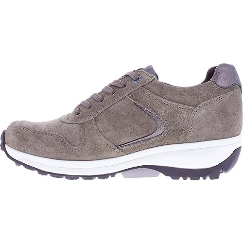 XSENSIBLE Stretchwalker/Modell: Jersey/Taupe Velours-Stretch / 300422-501 / Damen Sneakers von Xsensible