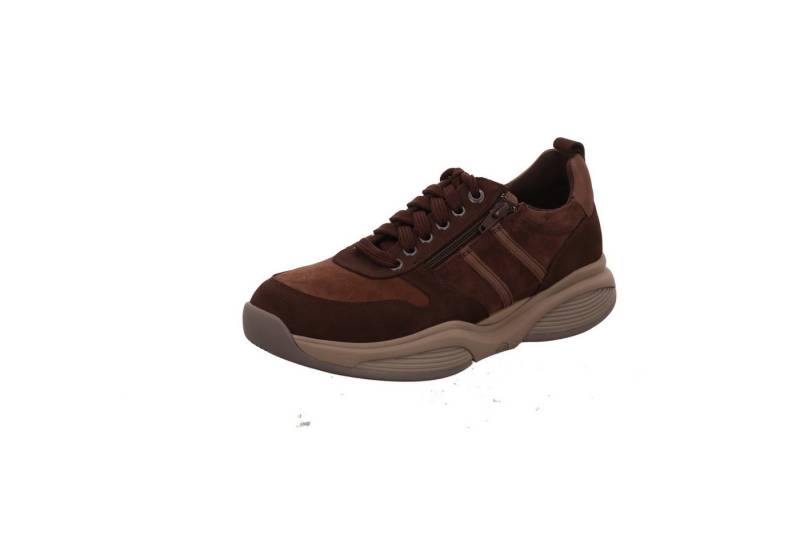 Xsensible DARK BROWN COBI Schnürschuh von Xsensible