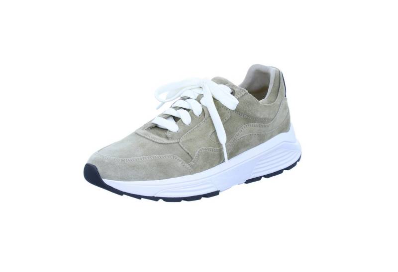 Xsensible Golden Gate Men Sneaker von Xsensible
