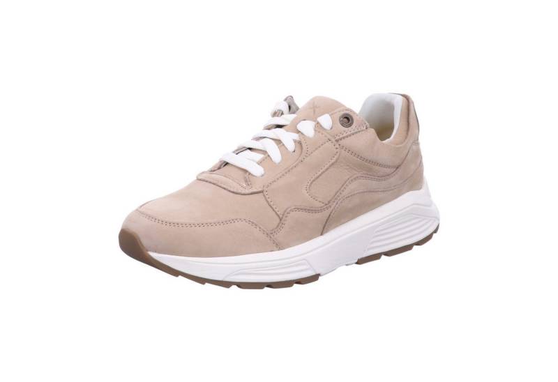 Xsensible Golden Gate Men Sneaker von Xsensible