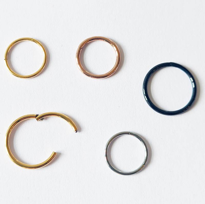 Titan Nasenpiercing Segmentring Septum Nase Ring Brust Lippen Ohr Scharnier Clicker von XstylePiercing