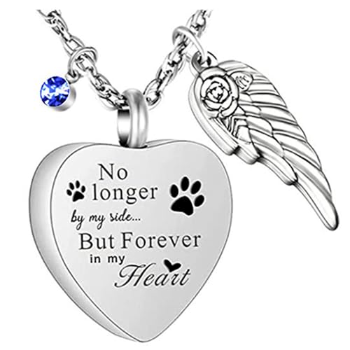 XuQiZZpp Gedenk-Halskette mit Herzflügel-Anhänger aus Edelstahl für Asche, Haare oder Parfüm, Accessoire für Erinnerungsliebhaber von XuQiZZpp