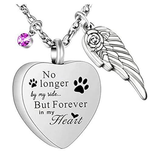 XuQiZZpp Gedenk-Halskette mit Herzflügel-Anhänger aus Edelstahl für Asche, Haare oder Parfüm, Accessoire für Erinnerungsliebhaber von XuQiZZpp