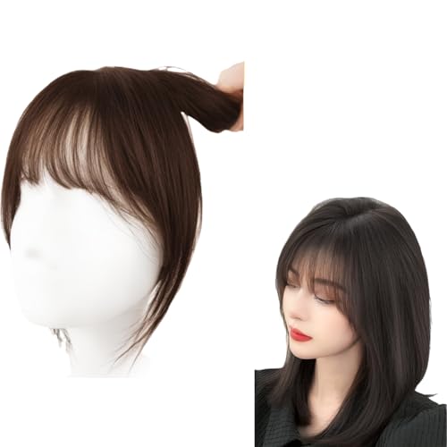 Braun,10(inch),Frauen Clip in Bangs, Clip in Fransen Echthaarverlängerungen One Piece Human Hair Clip in Pony Für Frauen Pony Extension Echthaar von Xytraiihw