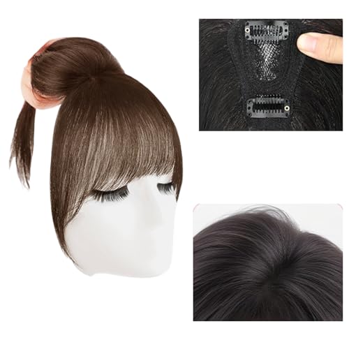 Braun,10 inch,Xytraiihw Clip in Haarverlängerungen Für Frauen, Clip in Pony Haar Extensions Fringe Vordere Haar Stück Unsichtbare Haarnadel Für Den Täglichen Verschleiß von Xytraiihw