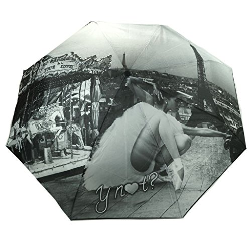 Y NOT? Super Mini City Paris Grau 55547 Damen Regenschirm Taschenschirm Schirm Schirme Damenschirm von Y NOT?