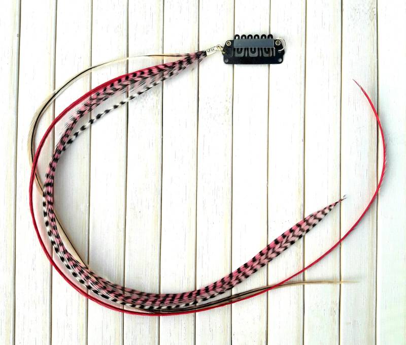 Abnehmbarer Federclip Abnehmbarer Federclip von YABISSA