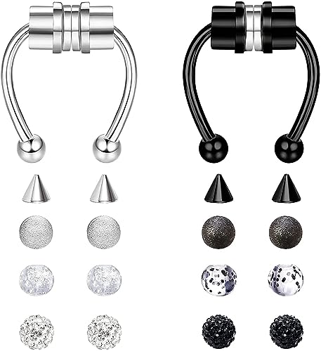 YADOCA Fake Septum Piercing Magnet Fake Nasenpiercing 316L Edelstahl Hufeisen Fake Nasenringe Nicht Piercing Clip On Nasenreifenringe für Damen Herren, 2 von YADOCA