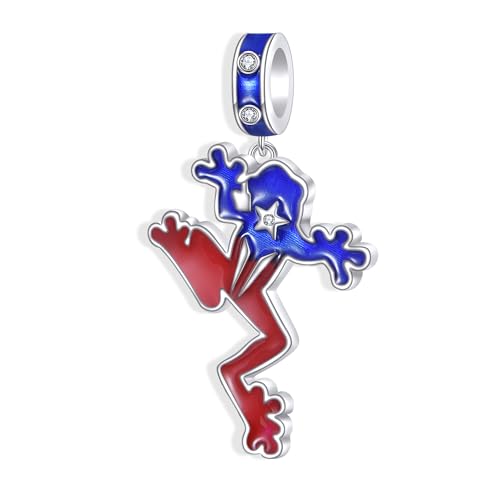YAFEINI Puerto Rico Souvenirs Charms 925 Sterling Silber Coqui Frosch Puerto Rico Charm Puerto Rico Schmuck Geschenke für Frauen von YAFEINI